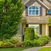 service-termite-control-2