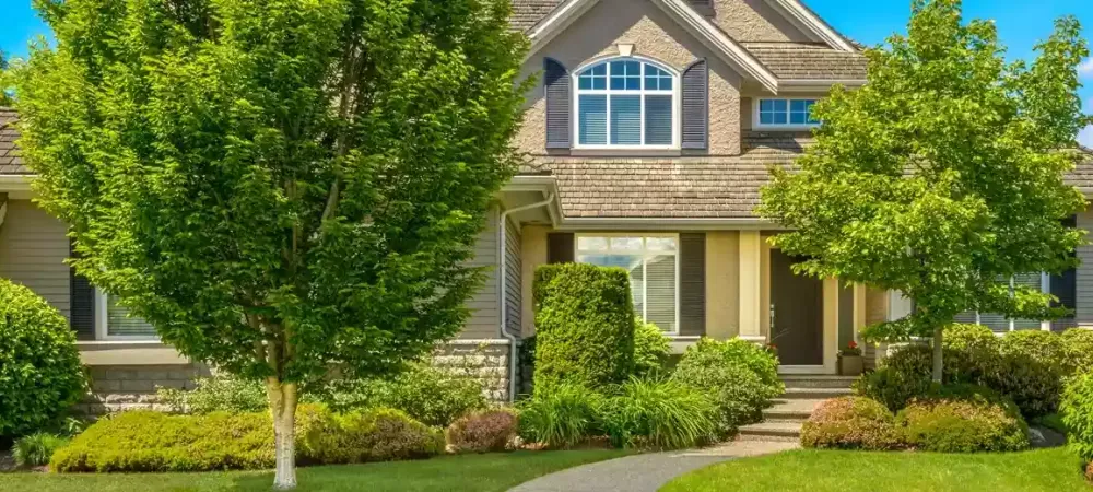 service-termite-control-2