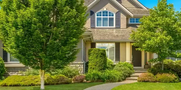 service-termite-control-2